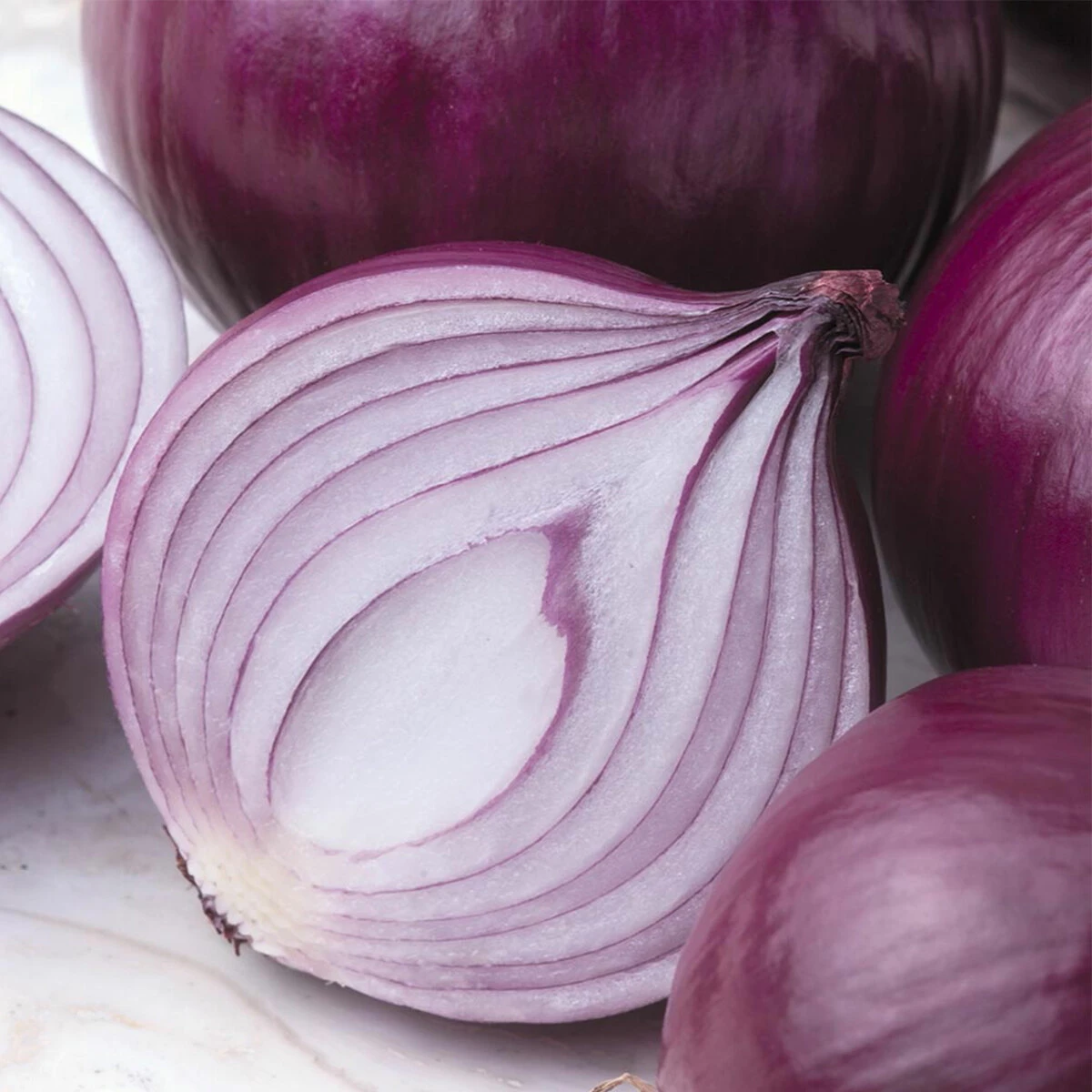 Suttons Seeds Suttons Seed Onion Kamal F1 1 Suttons Seeds Suttons Seed Onion Kamal F1