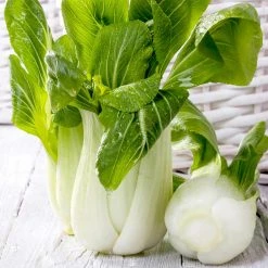 Suttons Seeds Pak Choi Seeds - F1 Hanakan