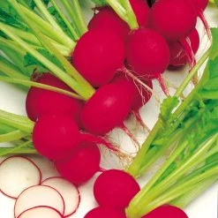 Suttons Seeds Suttons Seed Radish Scarlet Globe