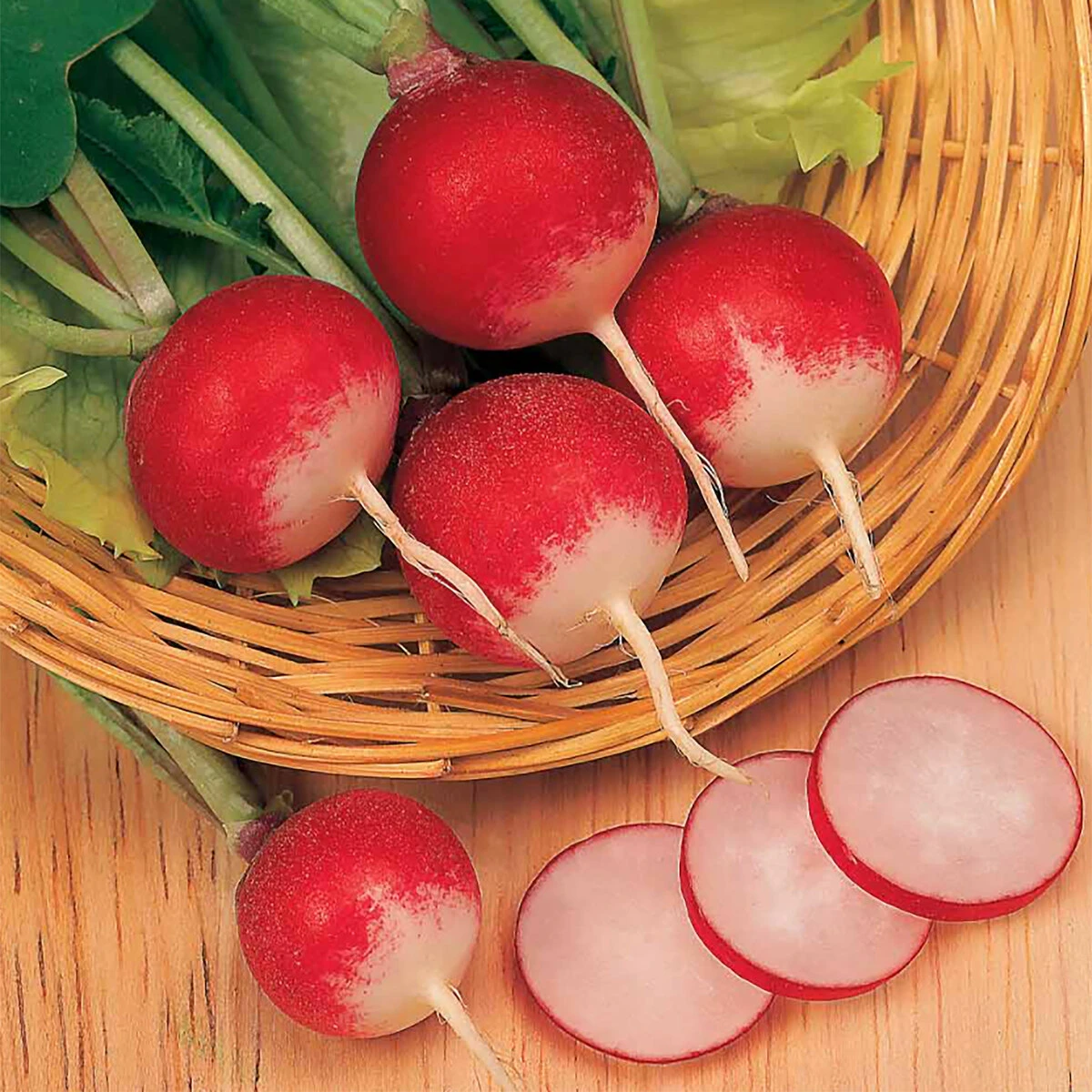 Suttons Seeds Suttons Seed Radish Seeds - Sparkler 3 2 Suttons Seeds Suttons Seed Radish Seeds - Sparkler 3 - Billede 2