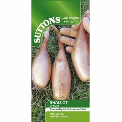 Suttons Seeds Suttons Seed Shallot Banana Seed - Zebrune