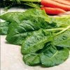 Suttons Seeds Suttons Seed Leaf Beet Plants - Perpetual Spinach