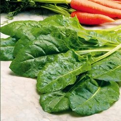Suttons Seeds Suttons Seed Leaf Beet Plants - Perpetual Spinach