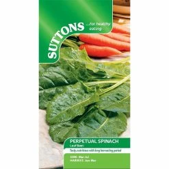Suttons Seeds Suttons Seed Leaf Beet Plants - Perpetual Spinach 5 Suttons Seeds Suttons Seed Leaf Beet Plants - Perpetual Spinach -Kent & Stowe butik 9092297 leftoffront 1200Wx1200H