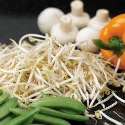 Suttons Seeds Beansprouts - Mung Bean