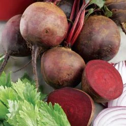 Suttons Seeds Suttons Seed Tape - Beetroot Boltardy