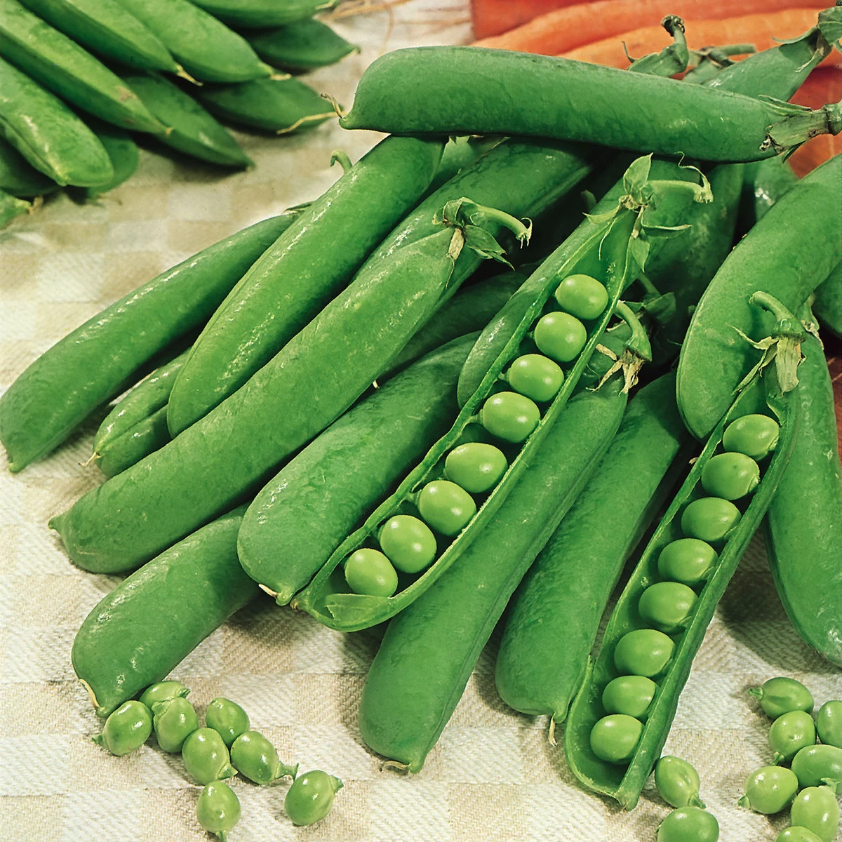 Suttons Seeds Pea - Early Onward 1 Suttons Seeds Pea - Early Onward