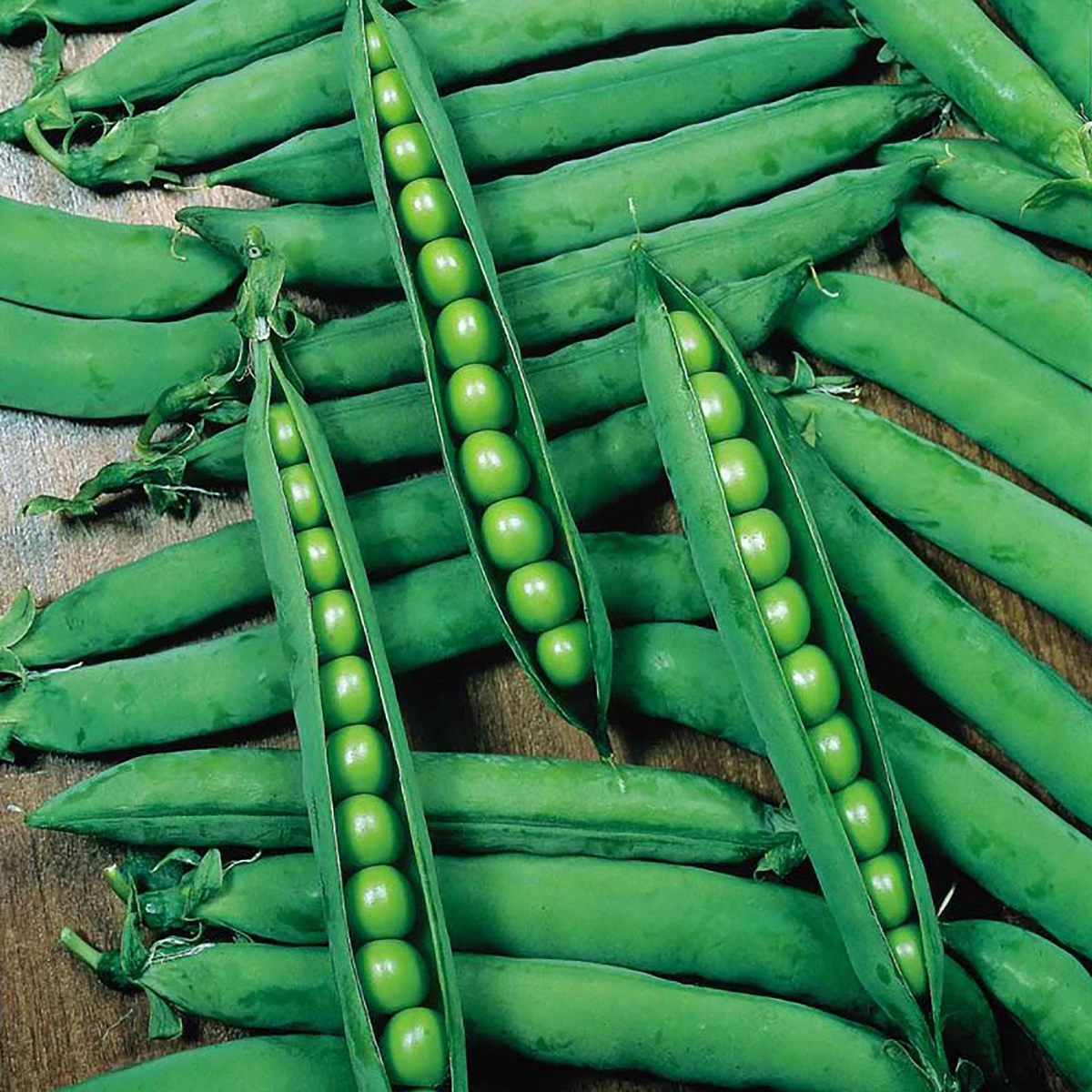 Suttons Seeds Suttons Seed Pea Hurst Greenshaft 3 Suttons Seeds Suttons Seed Pea Hurst Greenshaft - Billede 3