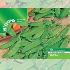 Suttons Seeds Suttons Seed Pea Oregon Sugar Pod (Mange) 7 Suttons Seeds Suttons Seed Pea Oregon Sugar Pod (Mange) -Kent & Stowe butik 9092398 back 1200Wx1200H