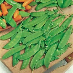 Suttons Seeds Suttons Seed Pea Oregon Sugar Pod (Mange)