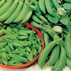 Suttons Seeds Suttons Seed Pea Sugar Snap Seeds - Delikett