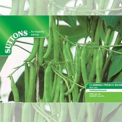 Suttons Seeds Suttons Seed Climbing French Bean - Blue Lake