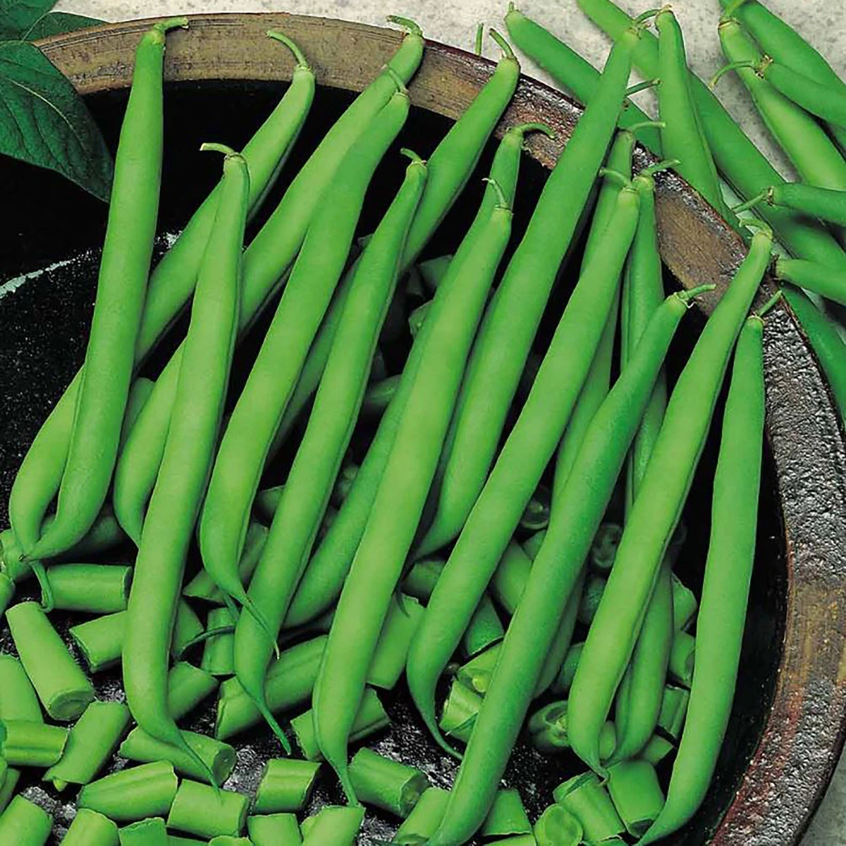 Suttons Seeds Suttons Seed Climbing French Bean - Blue Lake 4 Suttons Seeds Suttons Seed Climbing French Bean - Blue Lake - Billede 4