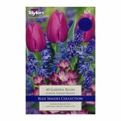 Taylors Blue Shades Collection