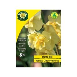 West Cork Bulbs Yellow Cheerfulness Daffodil 4kg