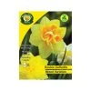 West Cork Bulbs Mixed Double Daffodils 4kg