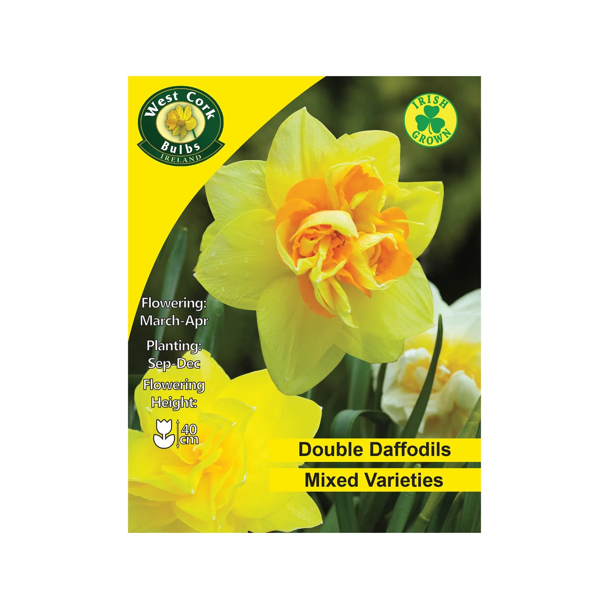 West Cork Bulbs Mixed Double Daffodils 4kg 1 West Cork Bulbs Mixed Double Daffodils 4kg