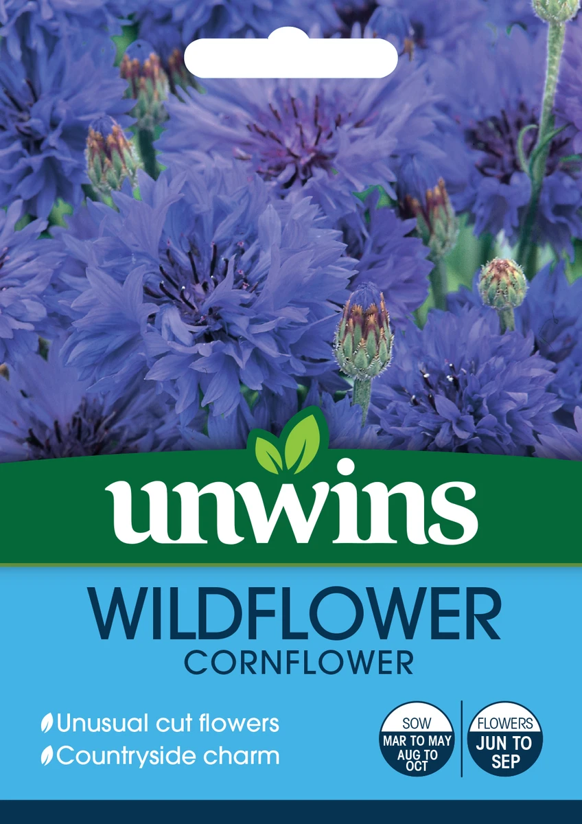 Unwins Wildflower Cornflower Seeds 2 Unwins Wildflower Cornflower Seeds - Billede 2