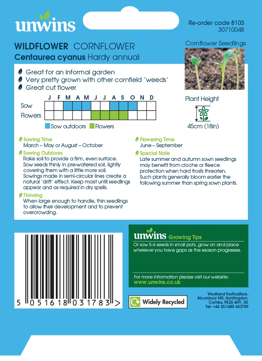 Unwins Wildflower Cornflower Seeds 1 Unwins Wildflower Cornflower Seeds