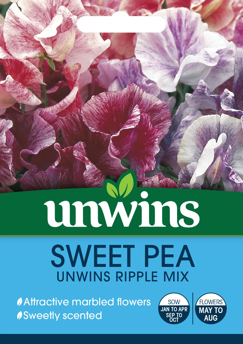 Unwins Sweet Pea Ripple Mix Seeds 2 Unwins Sweet Pea Ripple Mix Seeds - Billede 2