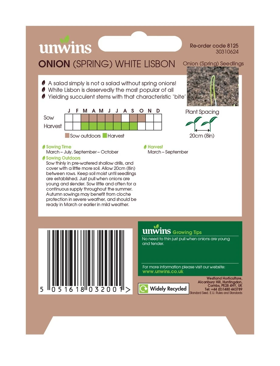Unwins White Lisbon Spring Onion 1 Unwins White Lisbon Spring Onion
