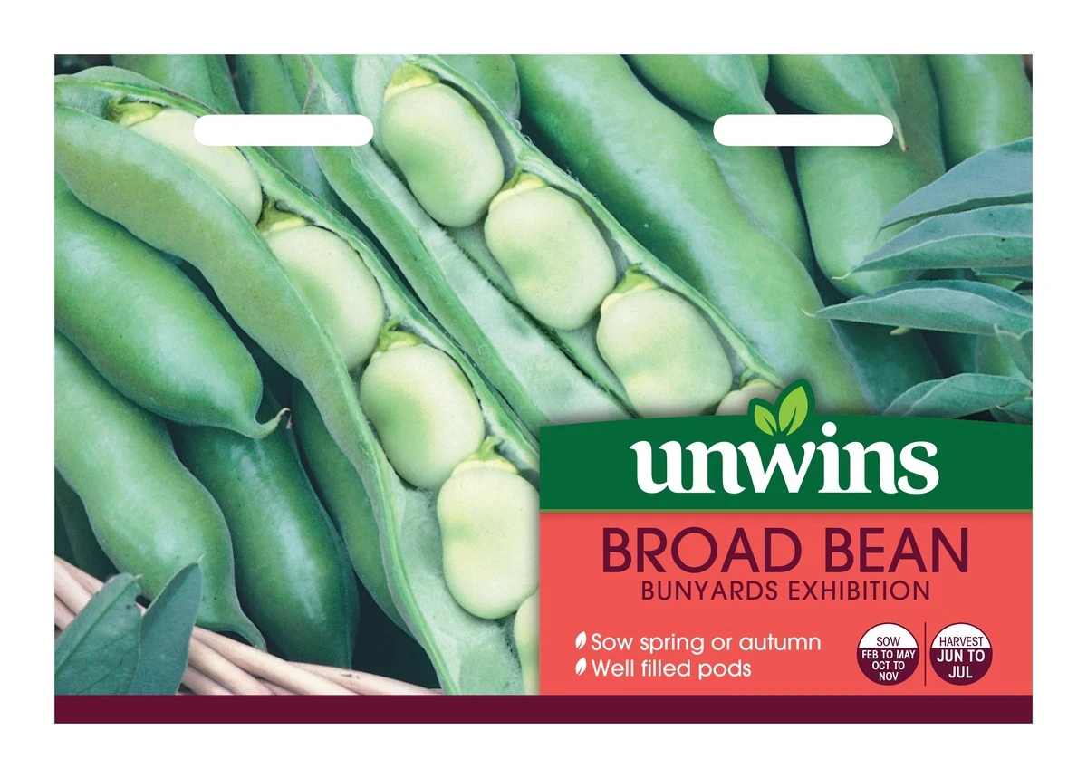 Unwins Bunya Broad Bean Exhibition Seeds 2 Unwins Bunya Broad Bean Exhibition Seeds - Billede 2
