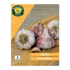 West Cork Bulbs Garlic Germidour 3 Bulbs Purple Garlic