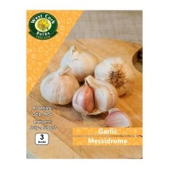 West Cork Bulbs Garlic Messidrome 3 Bulbs White Garlic