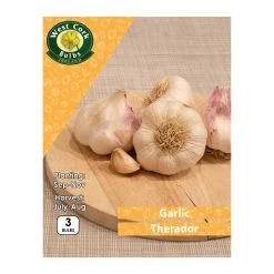 West Cork Bulbs Garlic Therador 3 Bulbs White Garlic