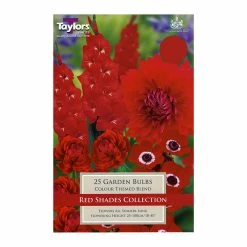 Taylors Red Shades Collection