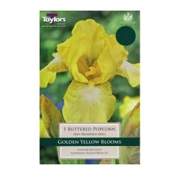 Taylors Iris Buttered Popcorn Bulbs