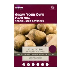 Taylors Piccolo Star Second Early Seed Potatoes 10 Pack