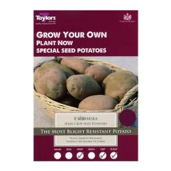 Taylors Sarpo Mira Seed Potatoes 8 Pack