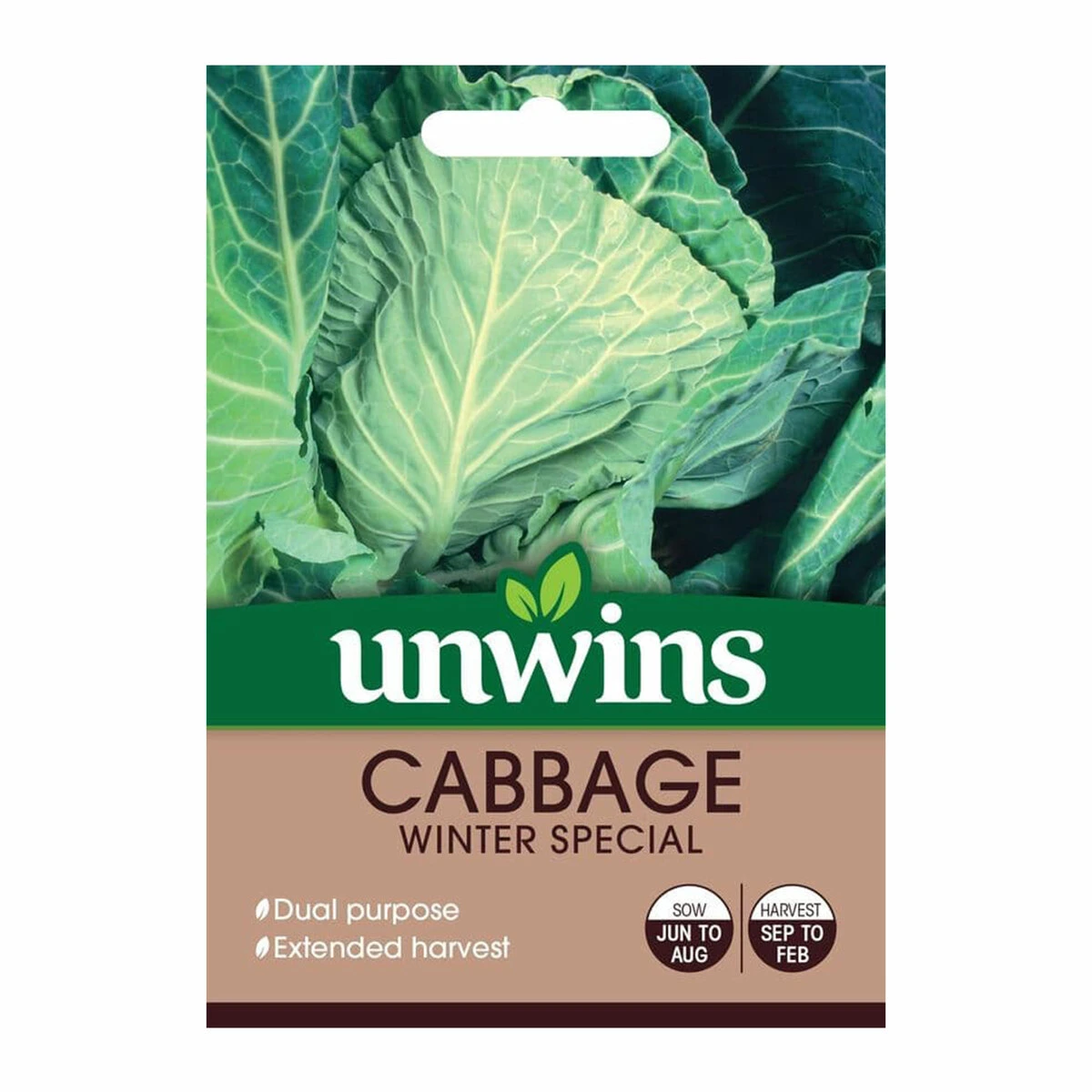 Unwins Seeds Cabbage Winter Special 1 Unwins Seeds Cabbage Winter Special