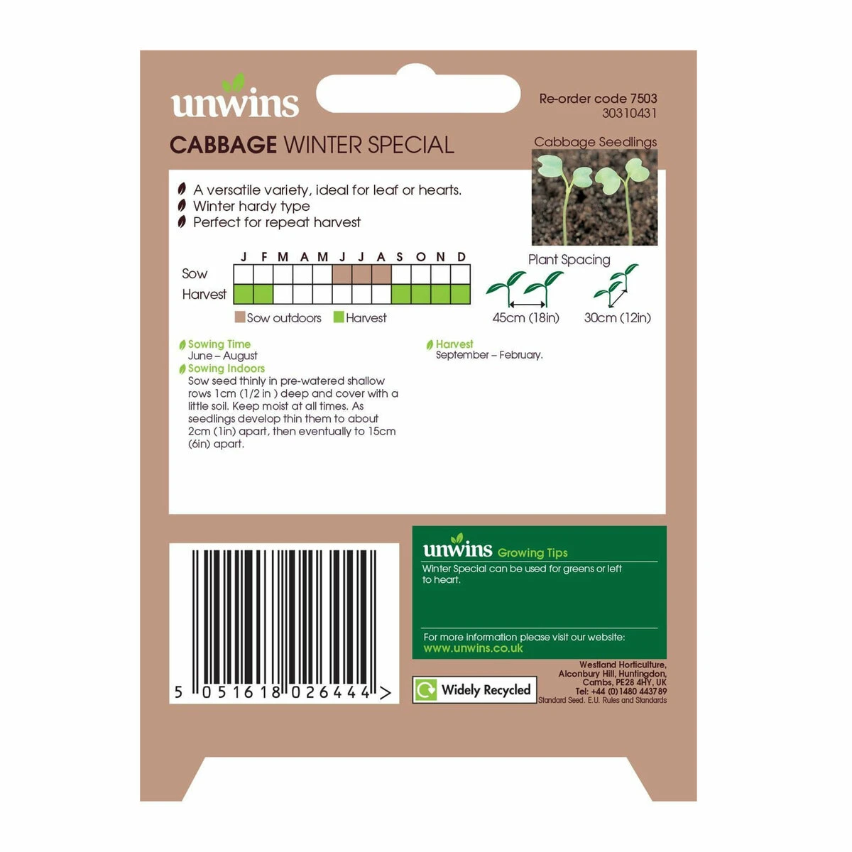 Unwins Seeds Cabbage Winter Special 2 Unwins Seeds Cabbage Winter Special - Billede 2
