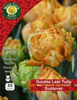 West Cork Bulbs Tulip Double Sunlover 35 Bulbs