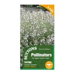 Suttons Seeds Suttons P & P Thyme Orange Scented