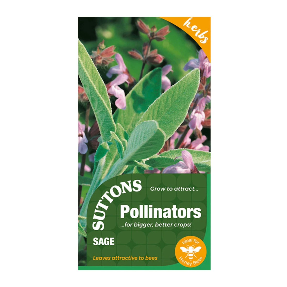 Suttons Seeds Suttons P & P Sage 2 Suttons Seeds Suttons P & P Sage - Billede 2