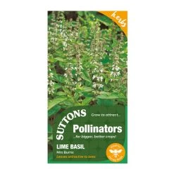 Suttons Seeds Suttons P & P Lime Basil Mrs Burns