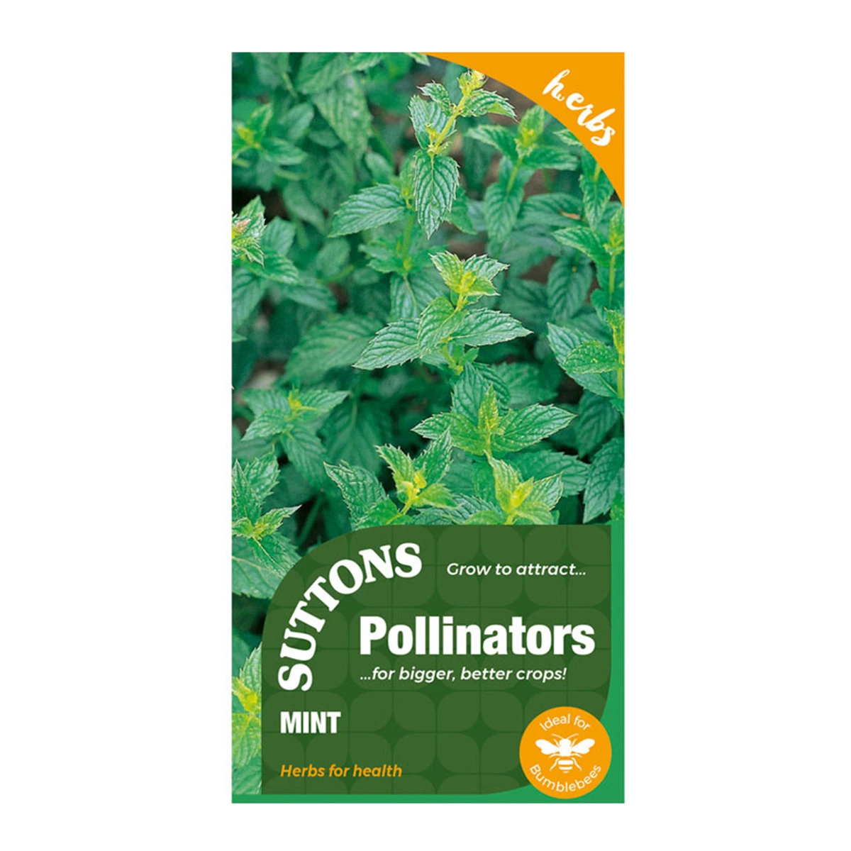 Suttons Seeds Suttons P & P Mint 2 Suttons Seeds Suttons P & P Mint - Billede 2