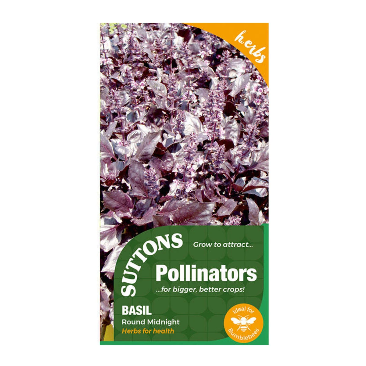 Suttons Seeds Suttons P & P Basil Round Midnight 2 Suttons Seeds Suttons P & P Basil Round Midnight - Billede 2