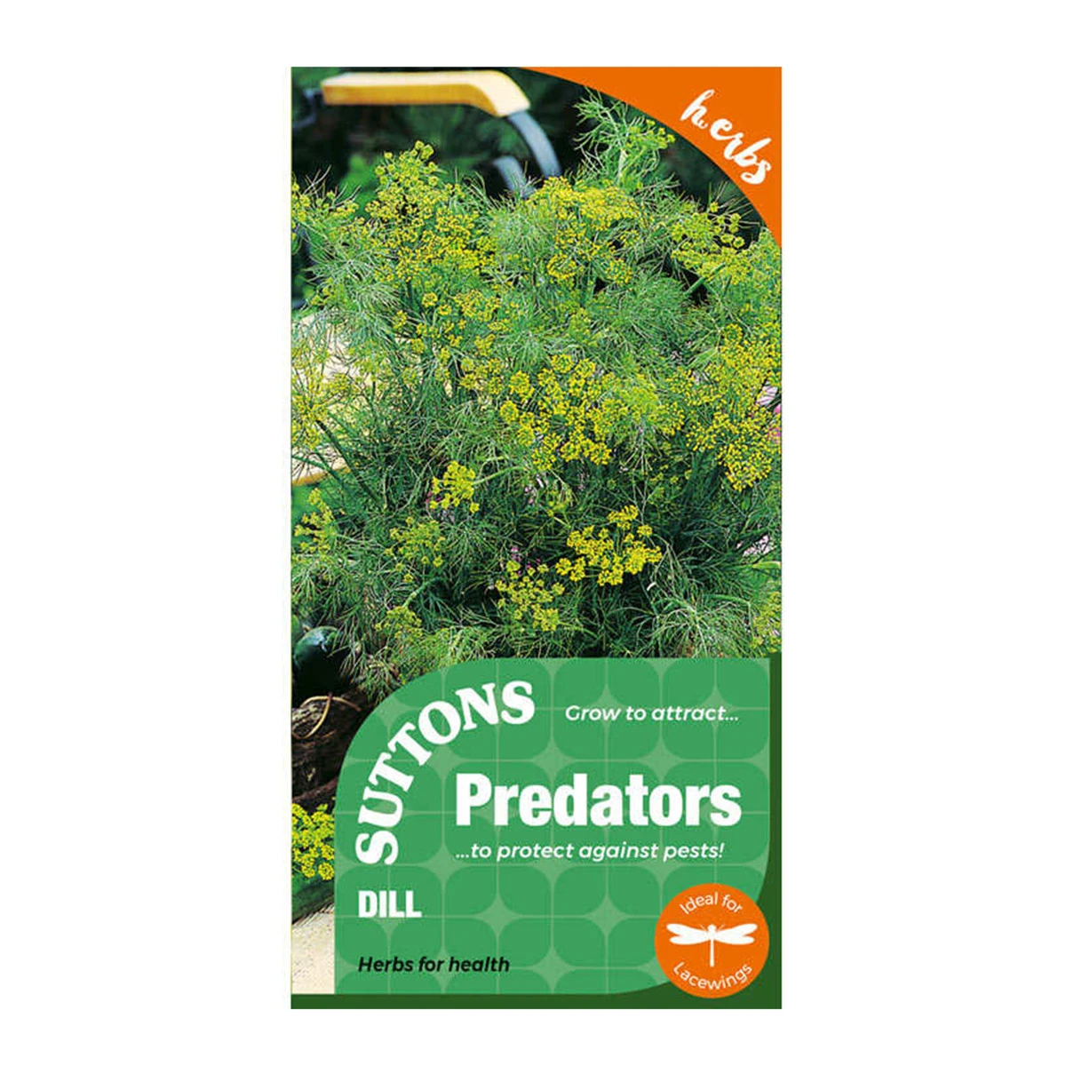 Suttons Seeds Suttons P & P Dill 2 Suttons Seeds Suttons P & P Dill - Billede 2