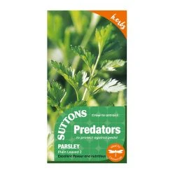 Suttons Seeds Suttons P & P Parsley Plain Leaved 2