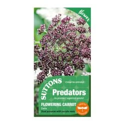 Suttons Seeds Suttons P & P Flowering Carrot Dara