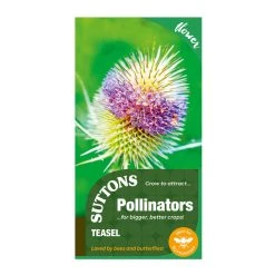Suttons Seeds Suttons P & P Teasel