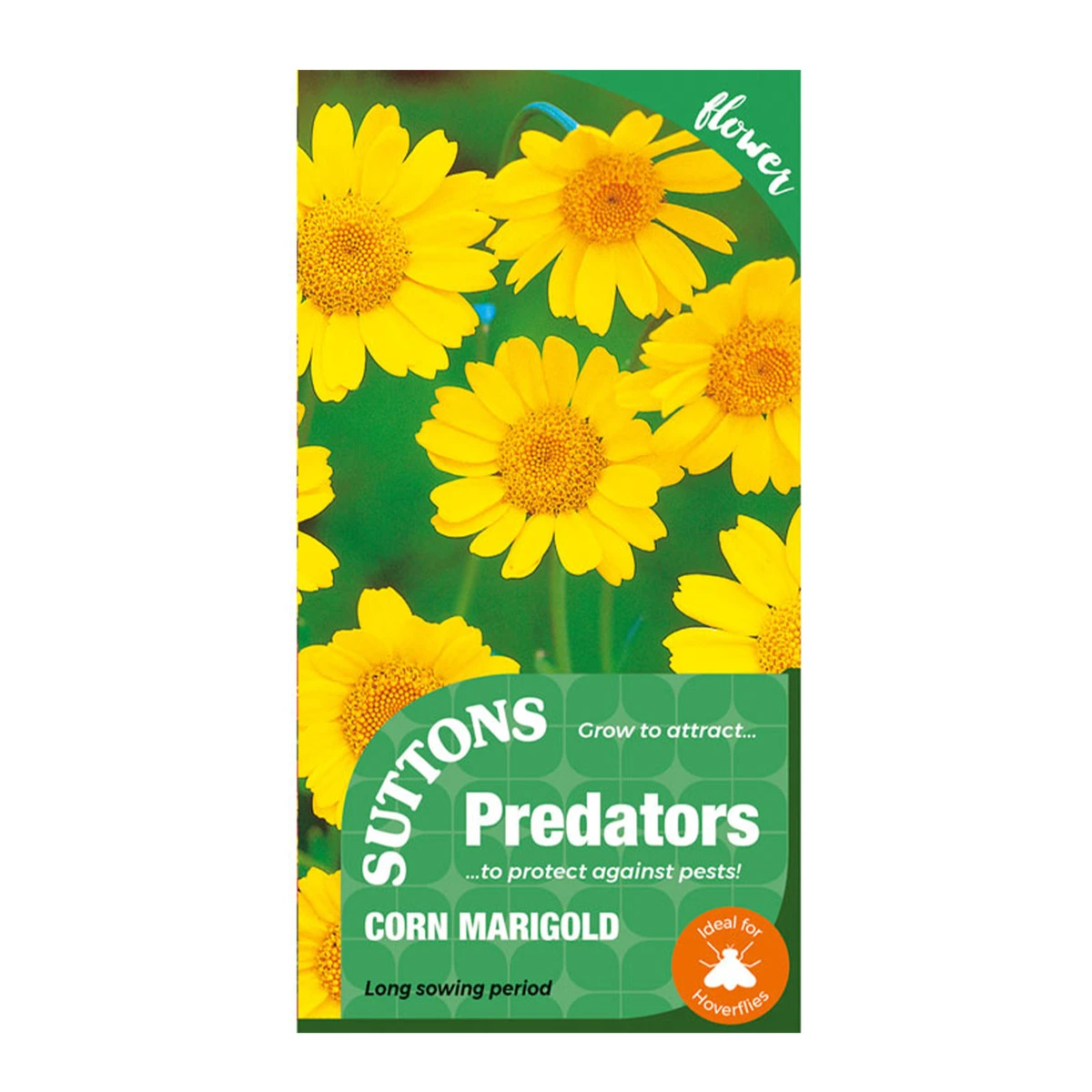 Suttons Seeds Suttons P & P Corn Marigold 2 Suttons Seeds Suttons P & P Corn Marigold - Billede 2