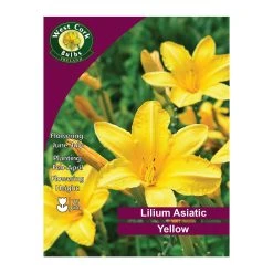 West Cork Bulbs Lilium Asiatic Yellow 3 Bulbs