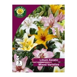 West Cork Bulbs Lilium Asiatic Mixed 3 Bulbs