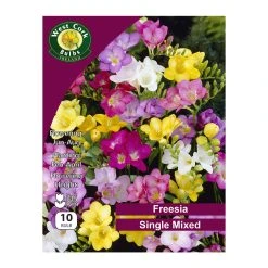 West Cork Bulbs Freesia Single Mixed Prepack 10 Bulbs