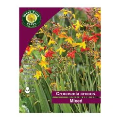 West Cork Bulbs Crocosmia Crocos Mixed Species 10 Bulbs